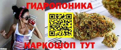 шишки Пушкино