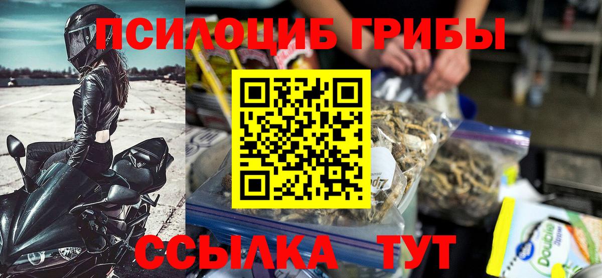 Псилоцибиновые грибы мухоморы Советский